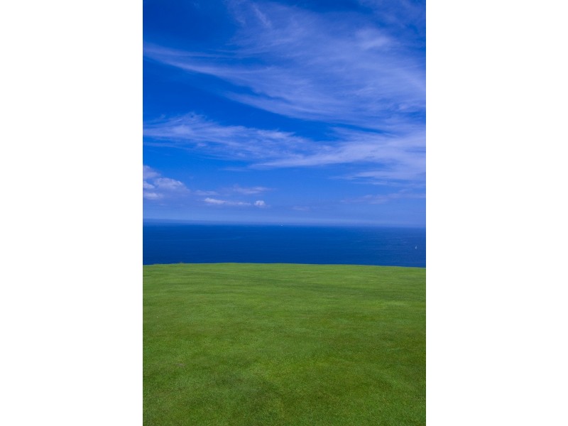 Lot 657 Toucan  Road, Tarneit VIC 3029