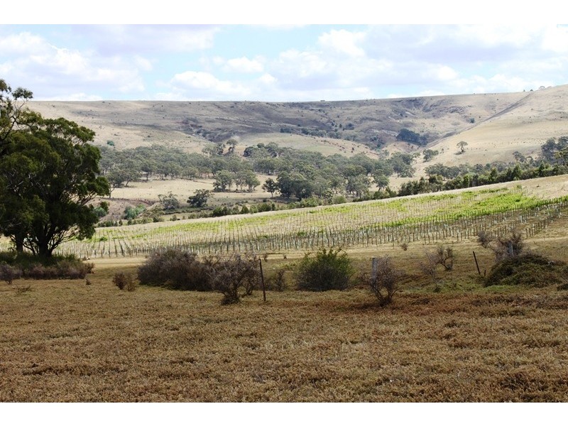 Lot 1 Dickson Road, Pentland Hills VIC 3341