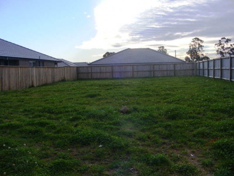 Glenfield NSW 2167