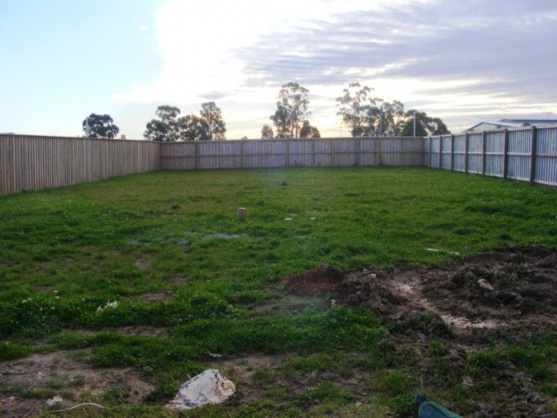 Glenfield NSW 2167