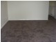 Ingleburn NSW 2565