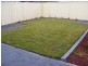 Ingleburn NSW 2565
