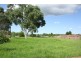 Minto NSW 2566