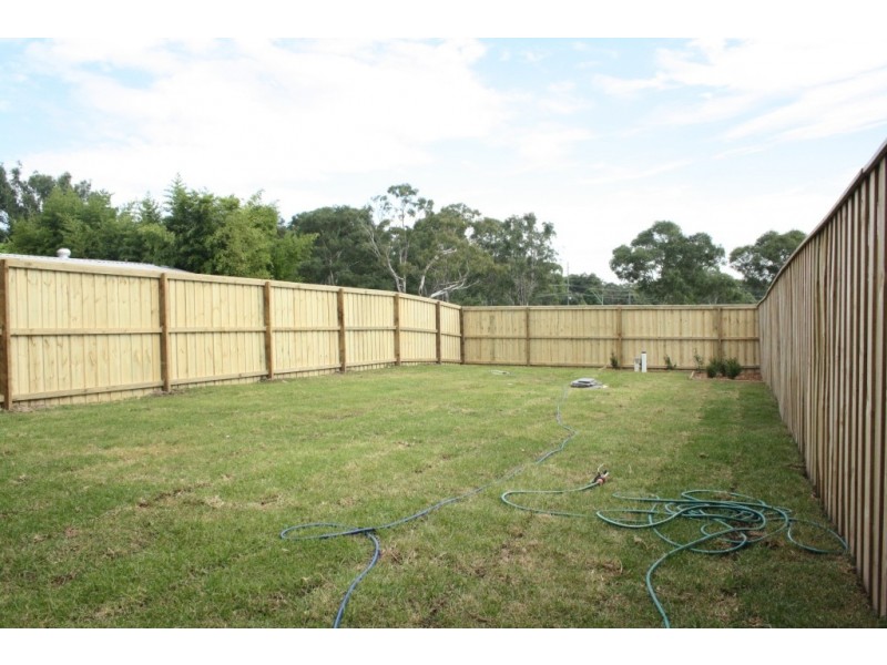 Macquarie Fields NSW 2564