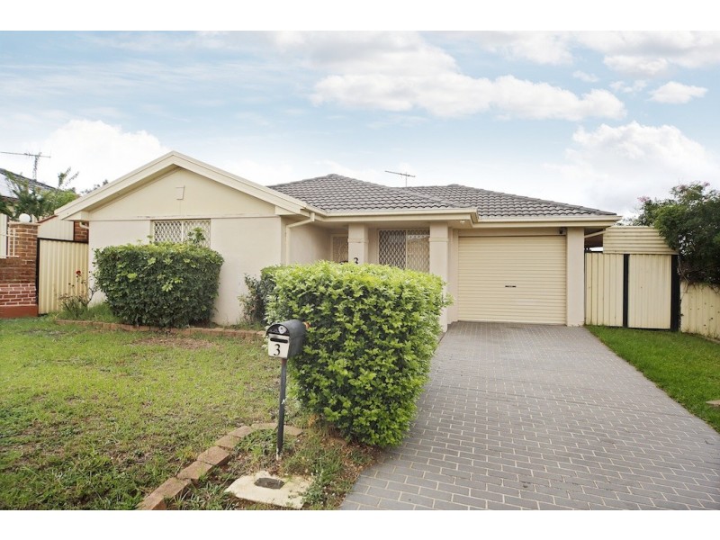 3 Blane Street, Minto NSW 2566