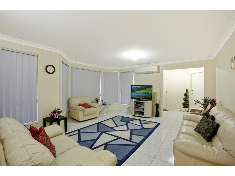 17 Lemon Tree Crescent, Minto NSW 2566