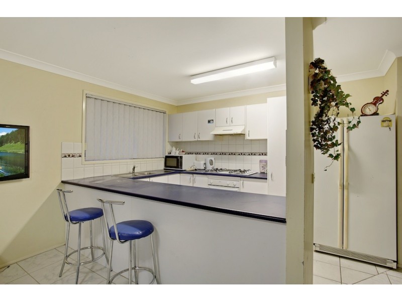 17 Lemon Tree Crescent, Minto NSW 2566