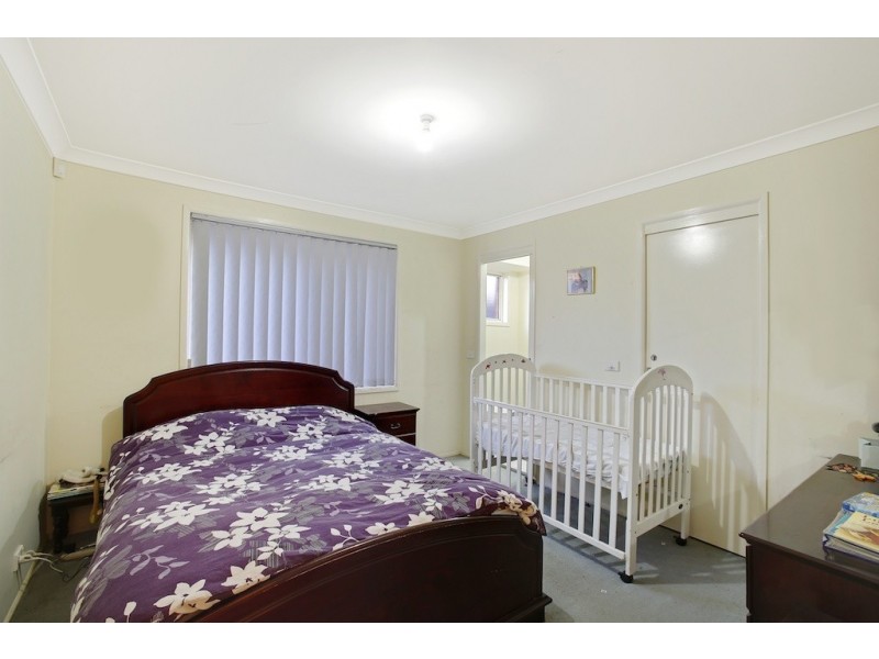 17 Lemon Tree Crescent, Minto NSW 2566