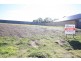 Macquarie Links NSW 2565