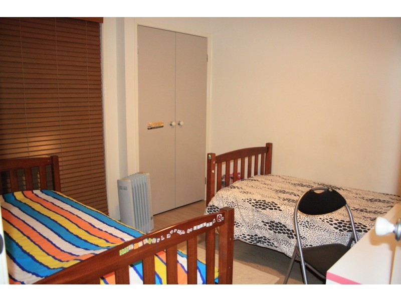 11 Tinderry ave, Minto NSW 2566