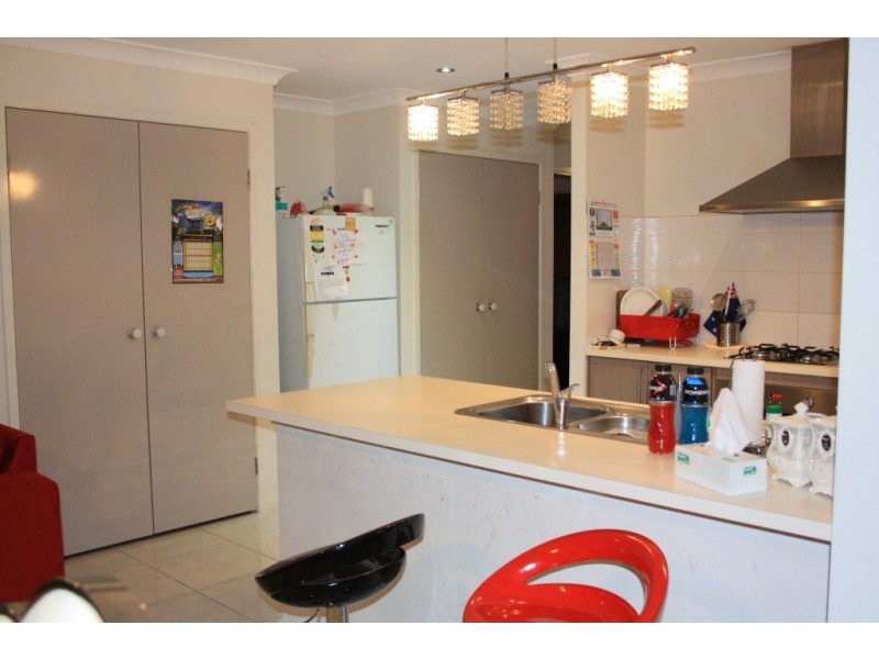 11 Tinderry ave, Minto NSW 2566