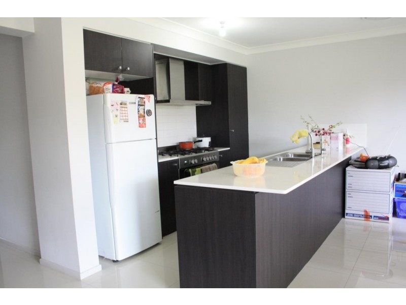 17 Glasshouse Blvd, Minto NSW 2566