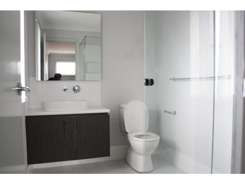 17 Glasshouse Blvd, Minto NSW 2566