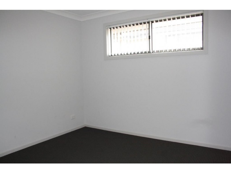 17 Glasshouse Blvd, Minto NSW 2566