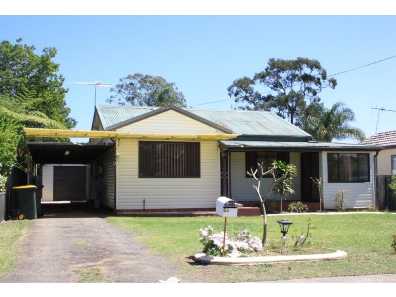 53 Edgar St, Macquarie Fields NSW 2564