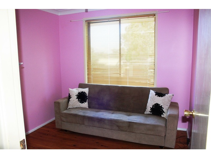 4 Barnes St, Minto NSW 2566
