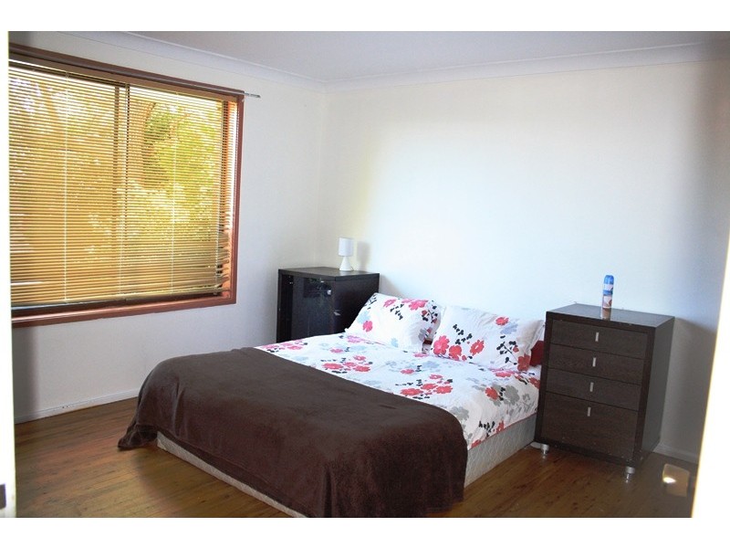 4 Barnes St, Minto NSW 2566