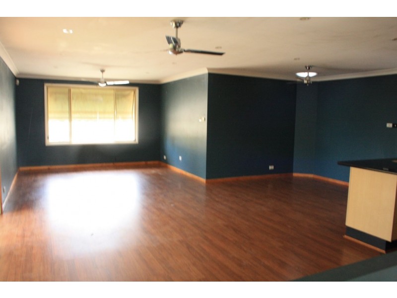 25 Carlisle St, Ingleburn NSW 2565