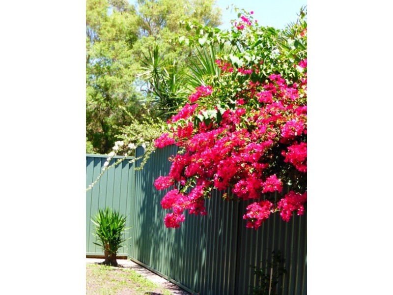 2/40 Woodland Drive, Reedy Creek QLD 4227