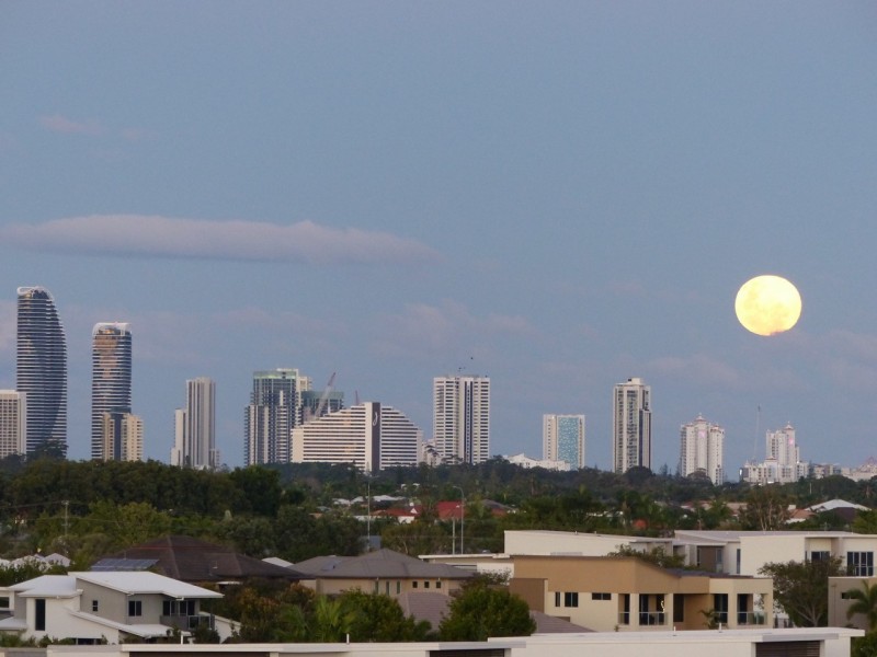 36/3030 The Boulevard, Carrara QLD 4211