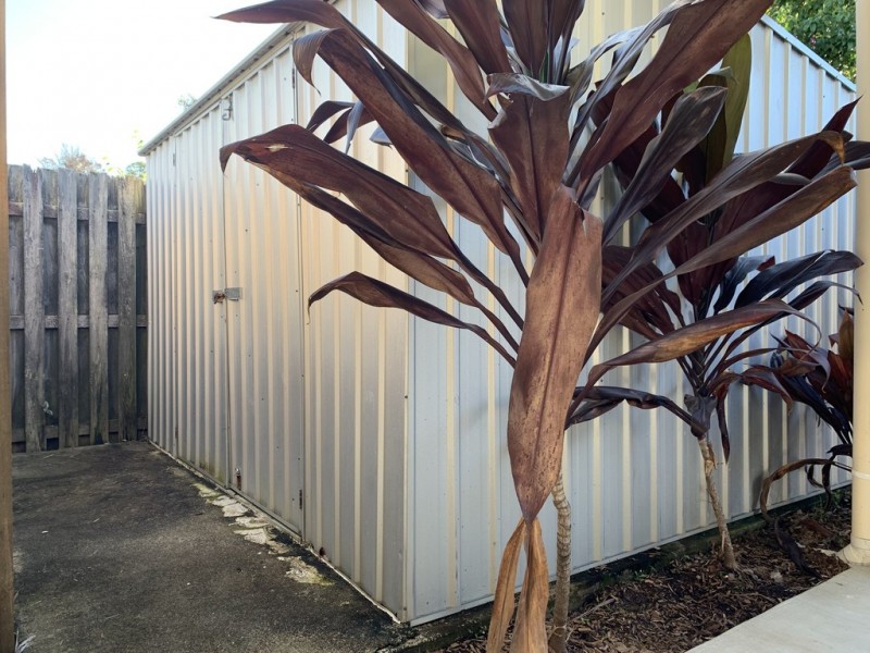 16 Oasis Crescent, Elanora QLD 4221