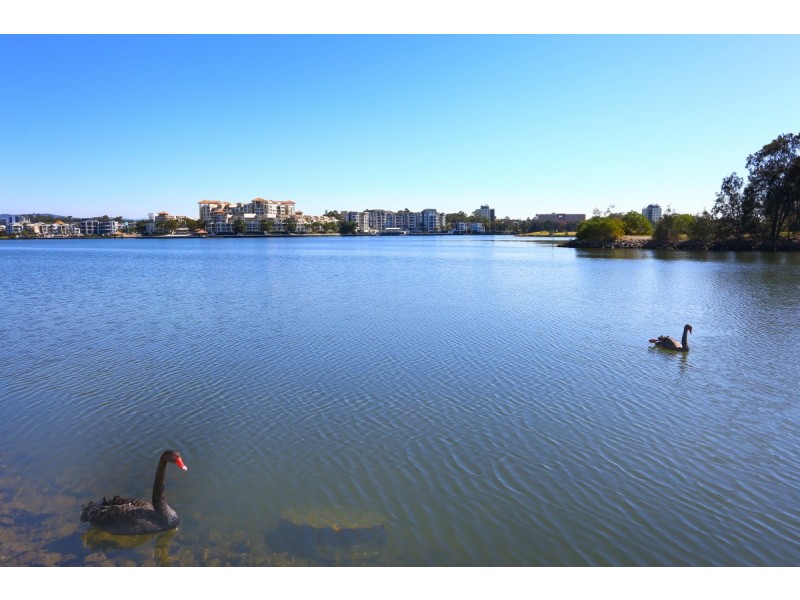 11 Northwestern Court, Varsity Lakes QLD 4227