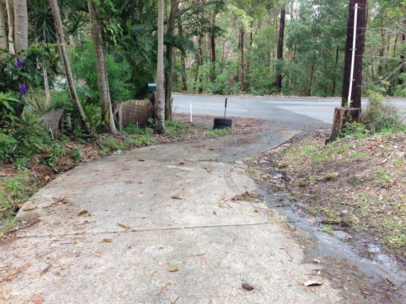 Lower Beechmont QLD 4211