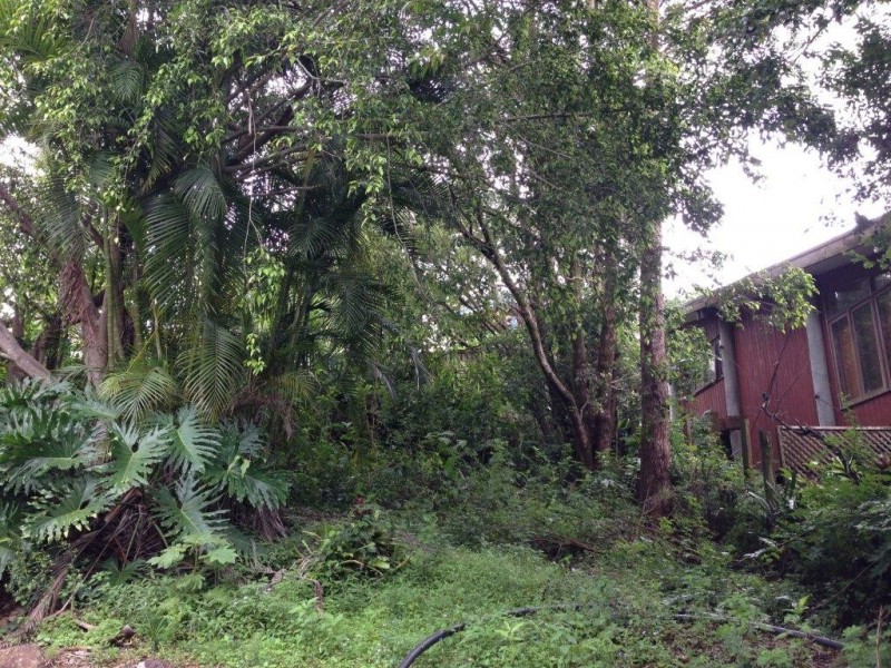 Lower Beechmont QLD 4211