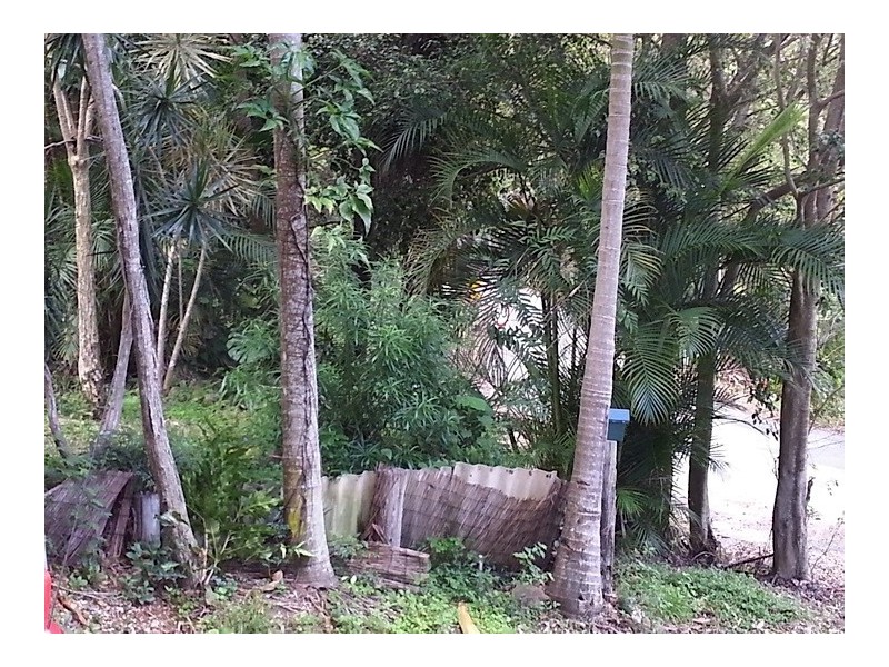 Lower Beechmont QLD 4211