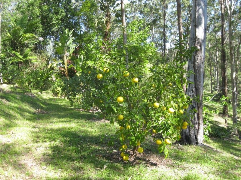 82 Sunray Drive, Bonogin QLD 4213