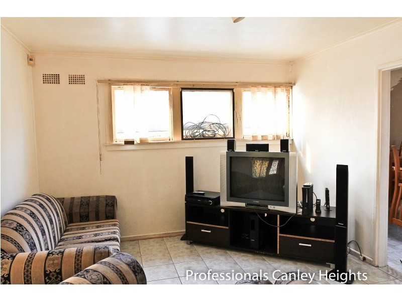 25 Stevenage Rd, Canley Heights NSW 2166