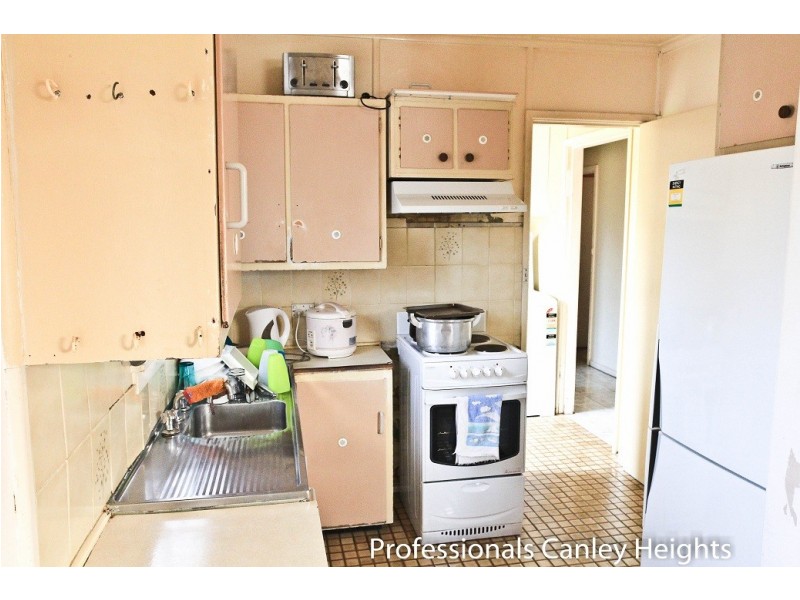 25 Stevenage Rd, Canley Heights NSW 2166