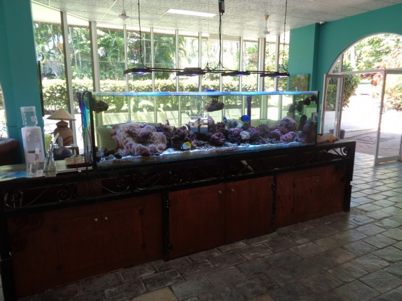 16/61-79 Mandalay Avenue, Nelly Bay QLD 4819