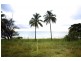 45 Esplanade, Balgal Beach QLD 4816
