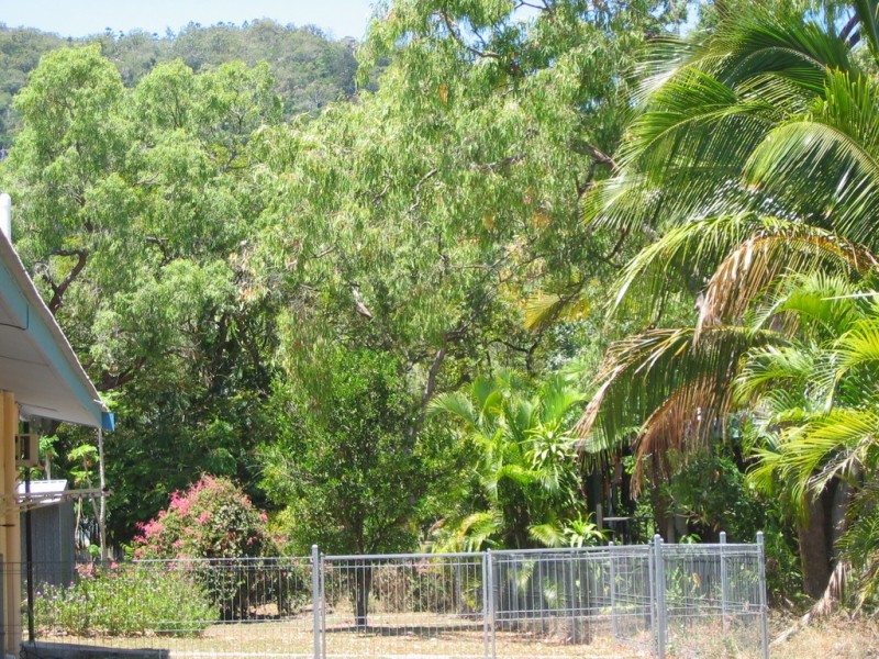 17 The Grove, Nelly Bay QLD 4819