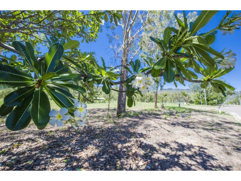 1-2 Dolphin Court, Horseshoe Bay QLD 4819