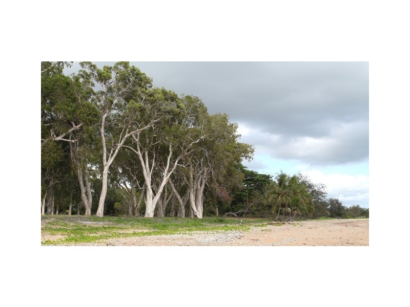 6 The Vines Court, Balgal Beach QLD 4816