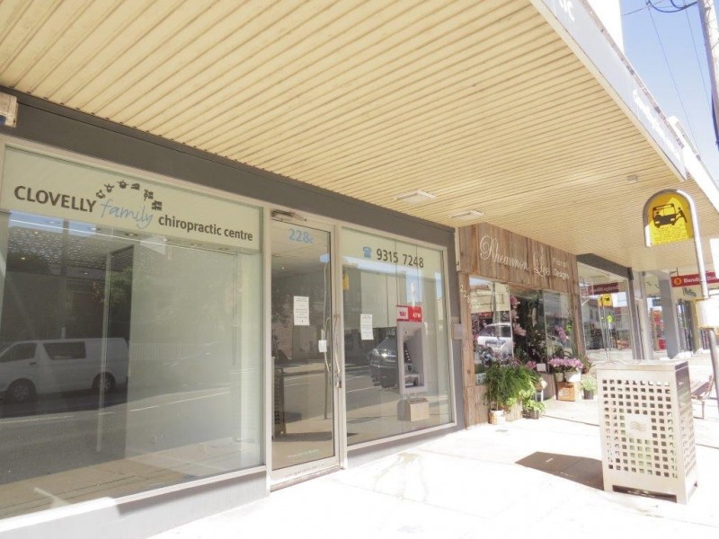 228 Clovelly Rd, Clovelly NSW 2031