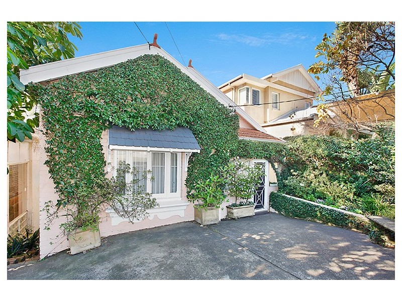 19 Knox Street, Clovelly NSW 2031