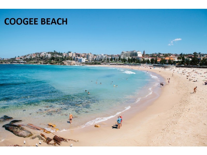 11/15-21 Dudley Street, Coogee NSW 2034
