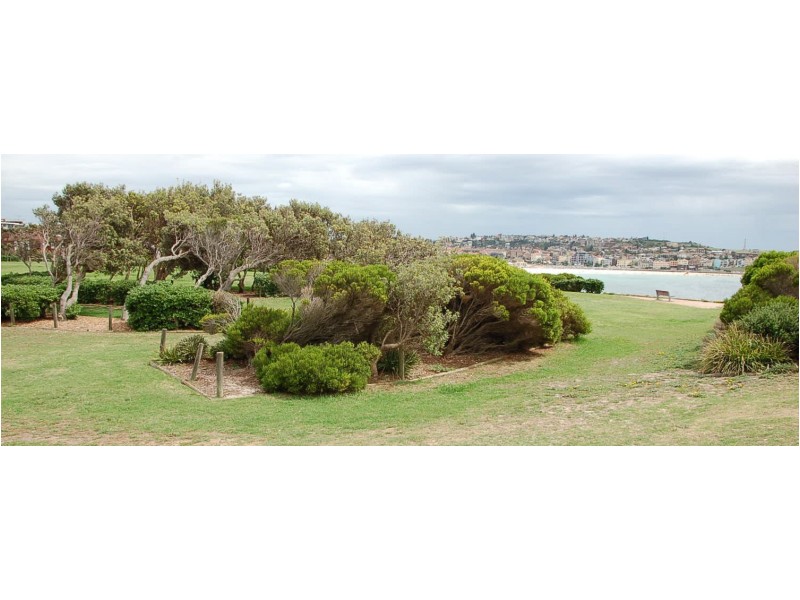 3/58 Fletcher Street, Tamarama NSW 2026