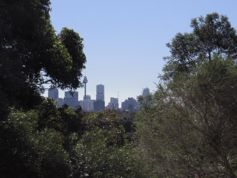 6/20 Boronia Street, Kensington NSW 2033