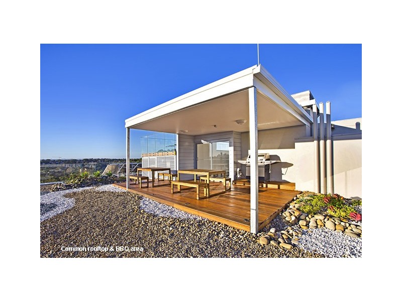 304/53 Palmer Street, Cammeray NSW 2062