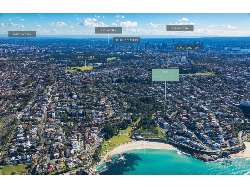 20 Murray Street, Bronte NSW 2024