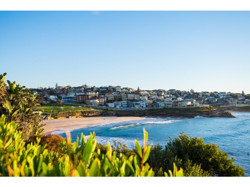 20 Murray Street, Bronte NSW 2024