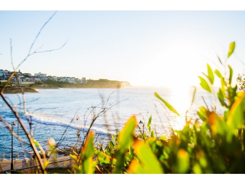 20 Murray Street, Bronte NSW 2024