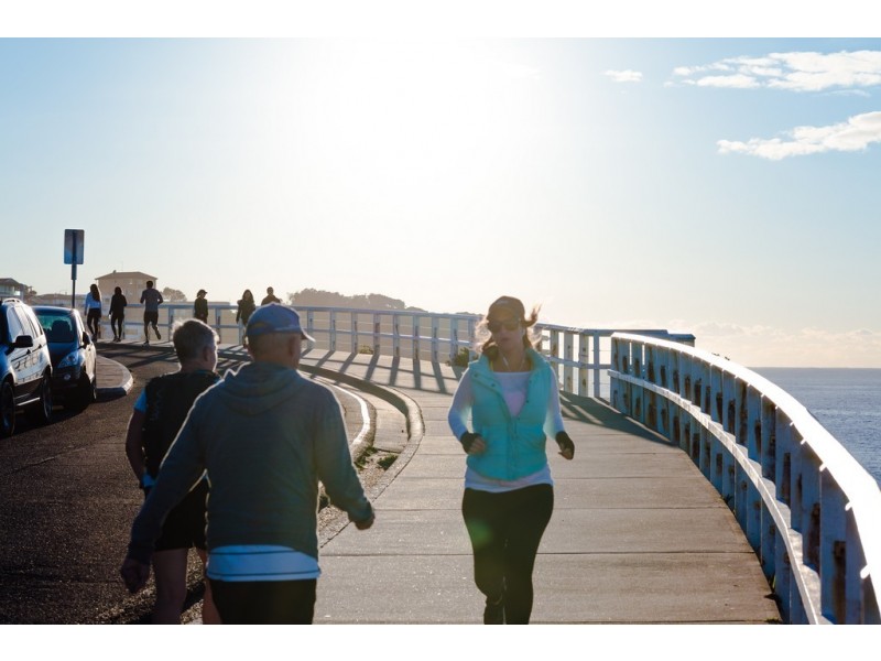 20 Murray Street, Bronte NSW 2024