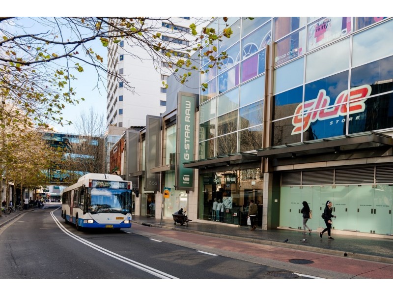 20 Murray Street, Bronte NSW 2024