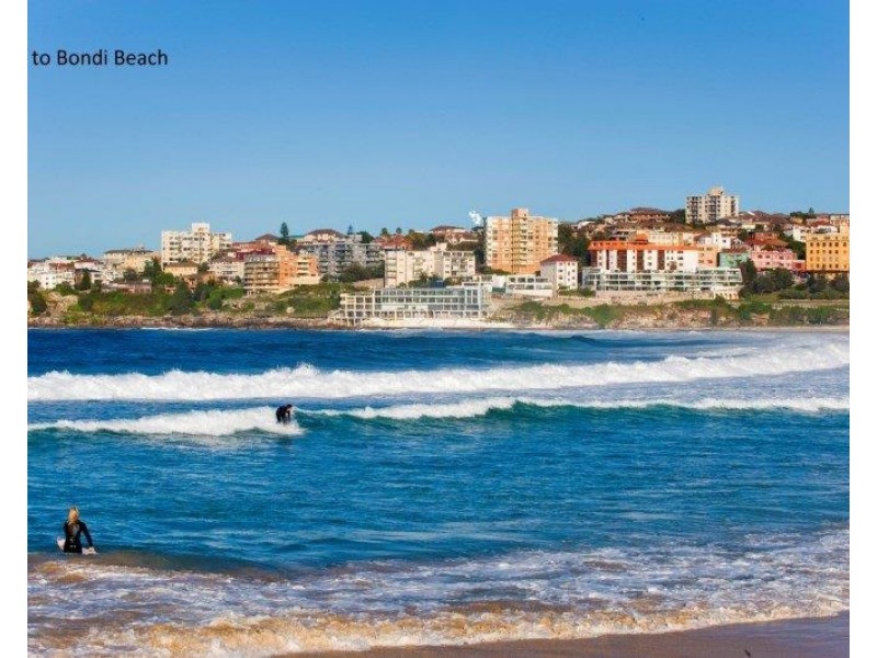 1/66 Bondi Road, Bondi Junction NSW 2022