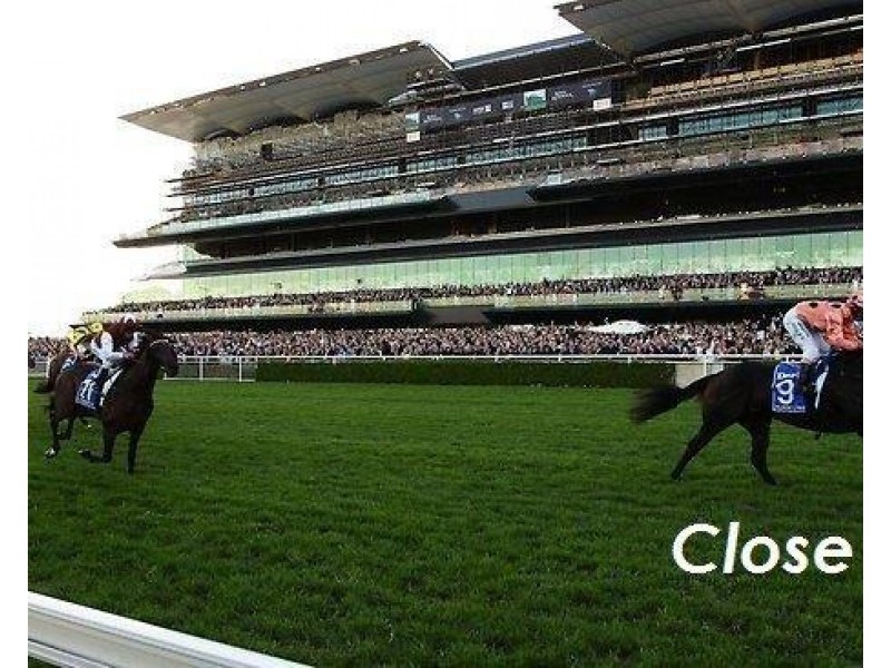 6/52 Houston Road, Kingsford NSW 2032